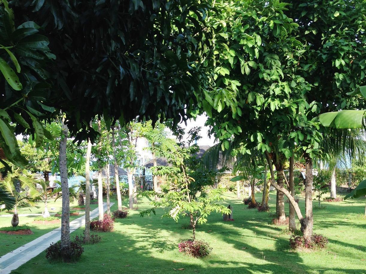 Dumaguete Springs Apartment Dumaguete City Экстерьер фото